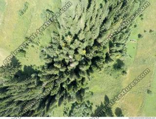 forest from above 0002